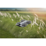 DJI Neo 2 Fly More Combo + RC-N3